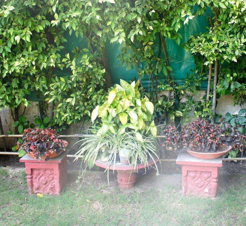 Sirohi House New Delhi Exterior foto