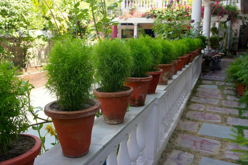 Sirohi House New Delhi Exterior foto
