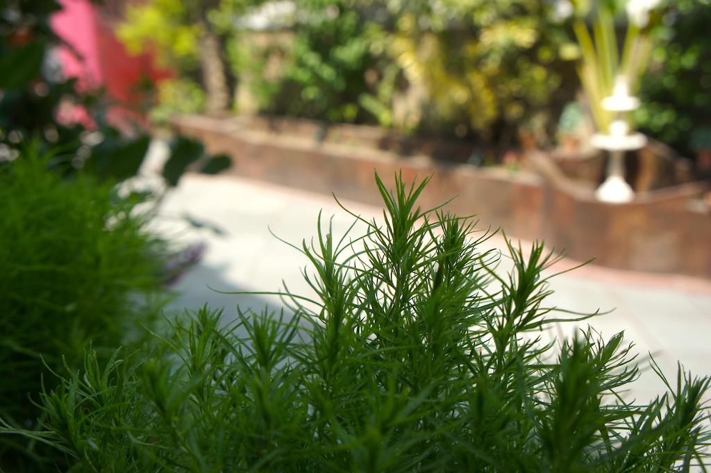 Sirohi House New Delhi Exterior foto